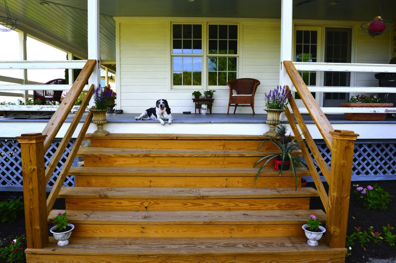Squeaky Steps Repair in Kansas City, KS